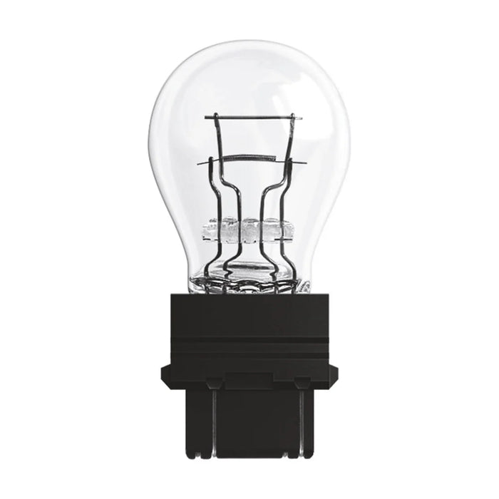 #3157 Automotive Light Bulb - 10 Pack