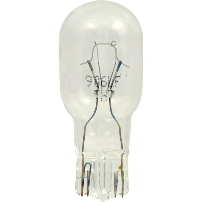#906 Automotive Light Bulb - 10 Pack