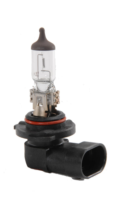 H10 Halogen Headlight Bulb