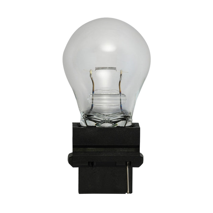 #3156 Automotive Light Bulb - 10 Pack