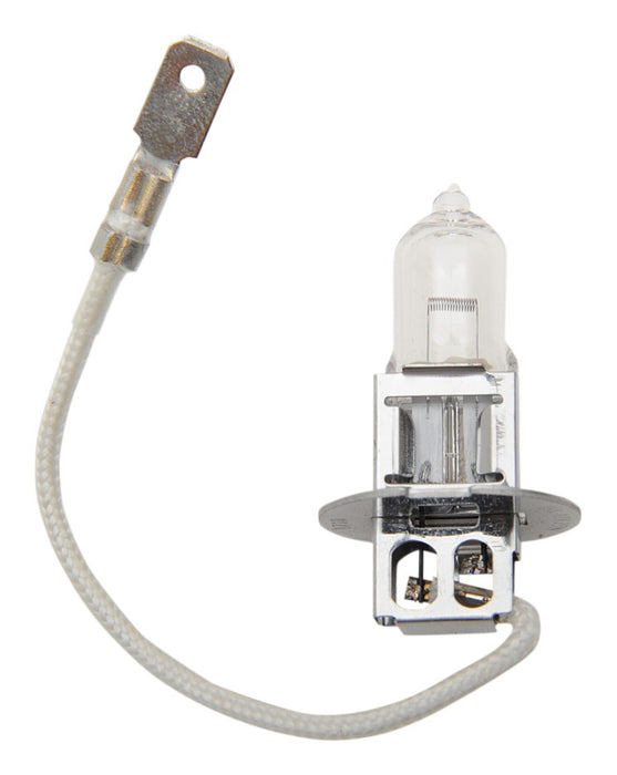 H3 Halogen Fog Light Bulb