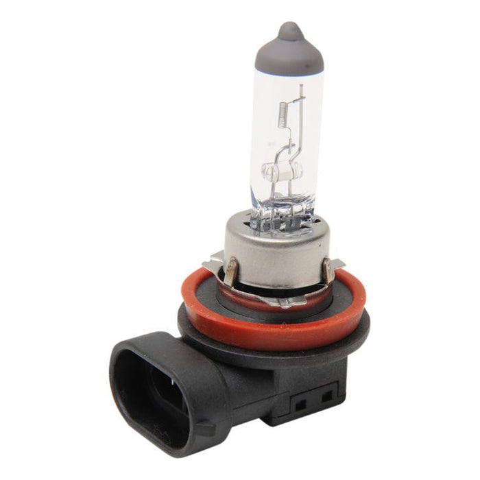 H8 Halogen Headlight Bulb