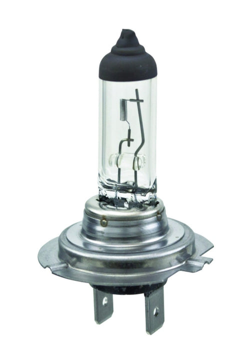H7 Halogen Headlight Bulb